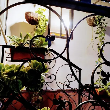 Black Stone Tatil Evi *