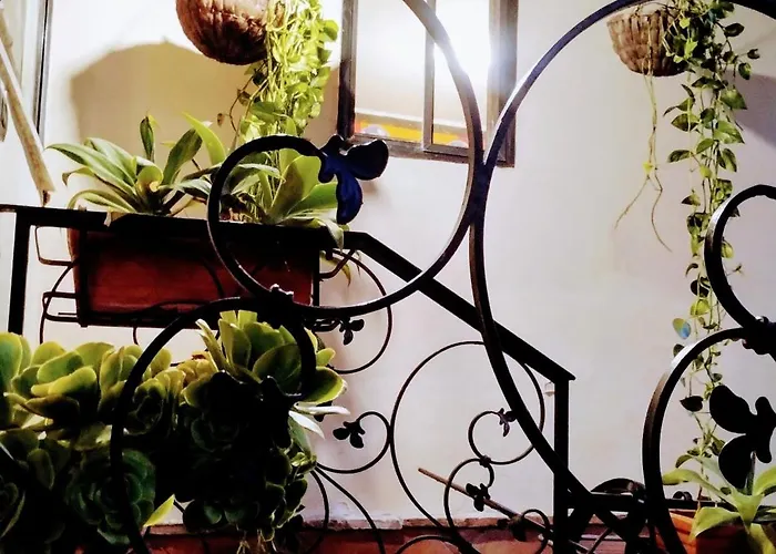 Black Stone Дом отдыха *